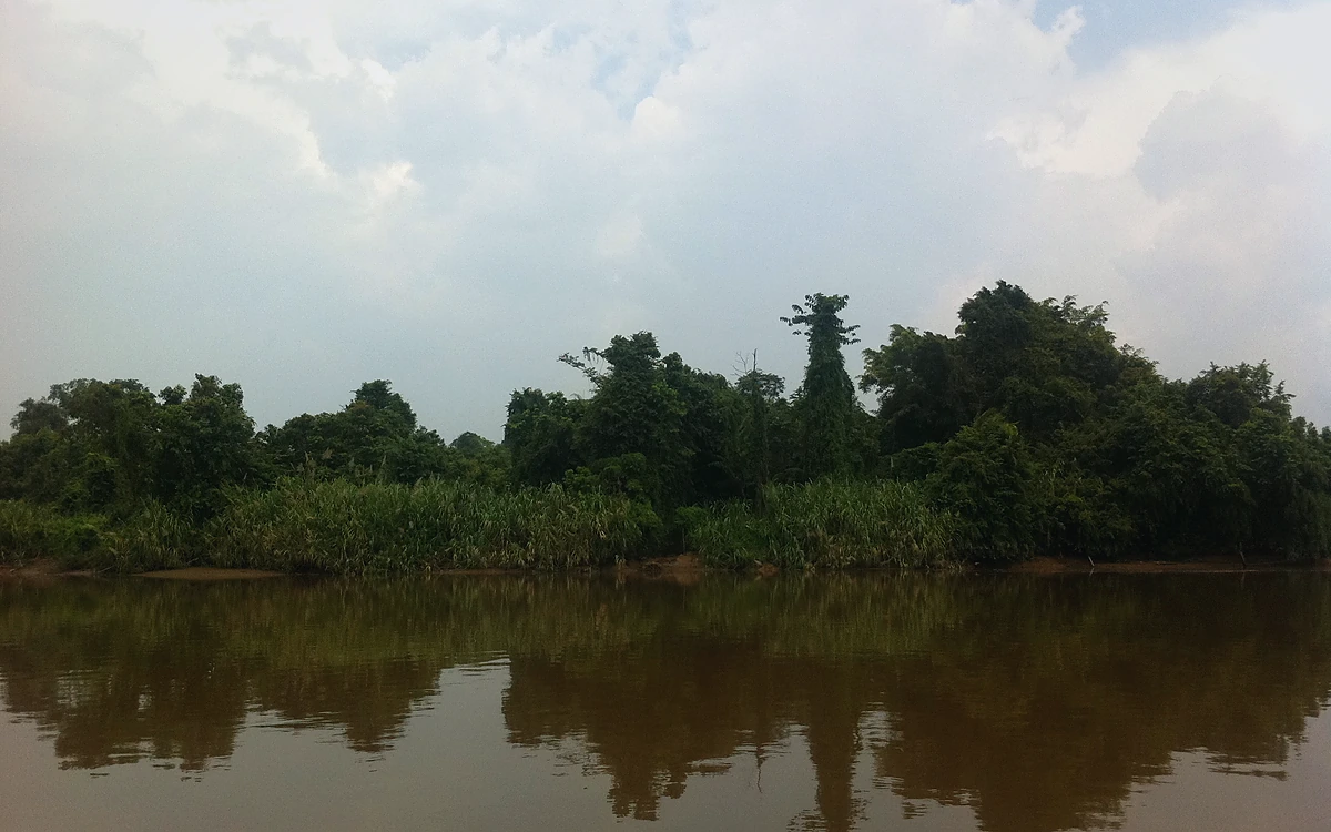 Baram Nehri (Sungai Baram)