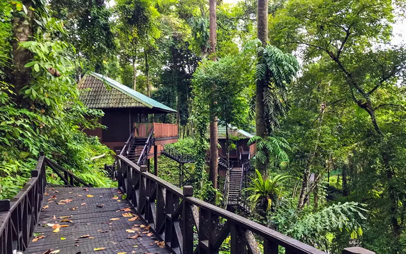Tabin Wildlife Resort