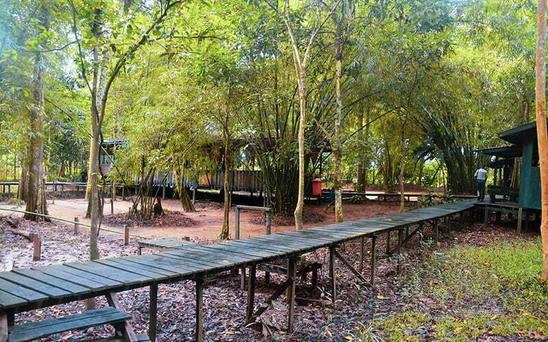 Uncle Tan Wildlife Camp