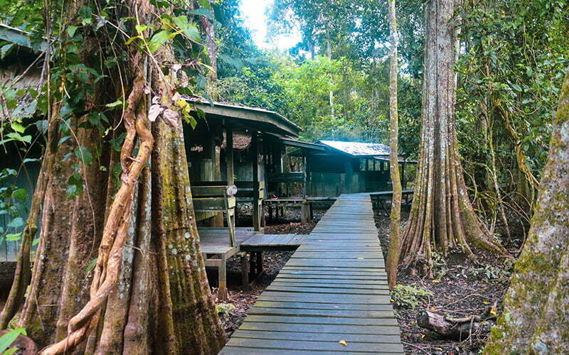 Uncle Tan Wildlife Camp