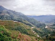 Sisler İçerisinde Bir Kent: Baguio Baguio Gezi Rehberi