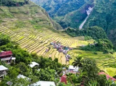 Batad Pirinç Tarlaları