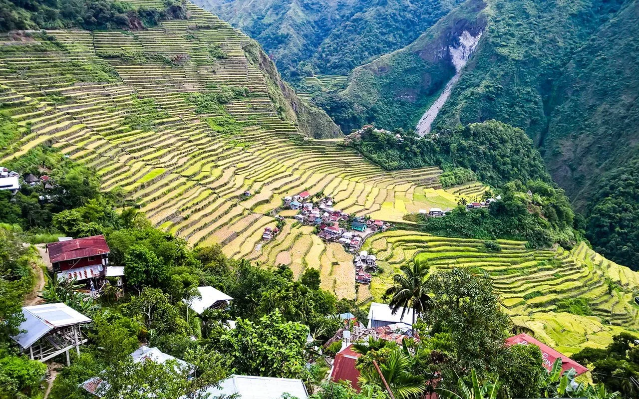 Batad Pirinç Tarlaları