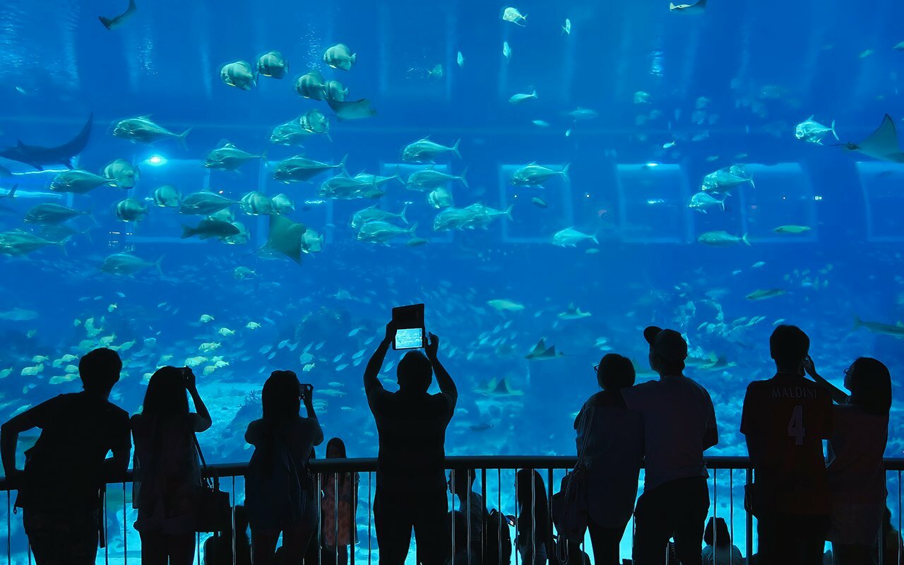 Singapore Aquarium