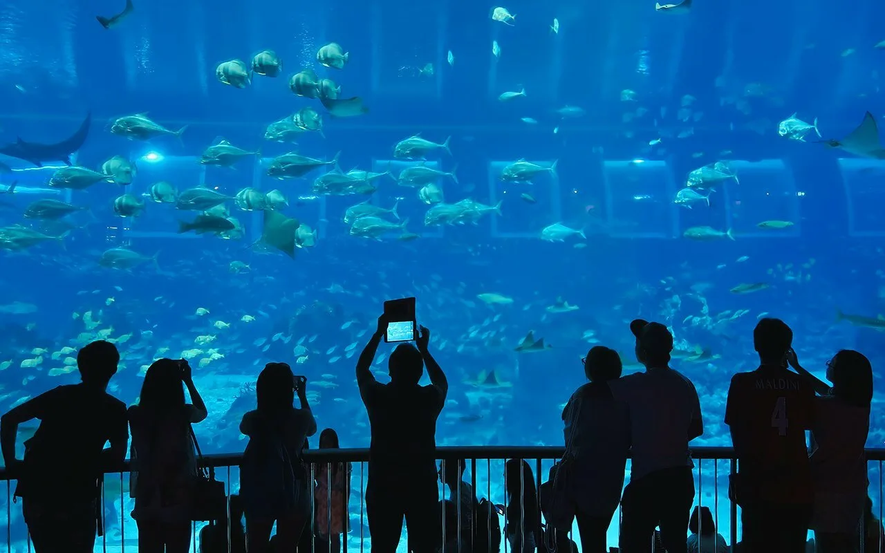 Singapore Aquarium