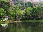 Khao Phra Thaeo Wildlife Sanctuary, Phuket Khao Phra Thaeo National Park