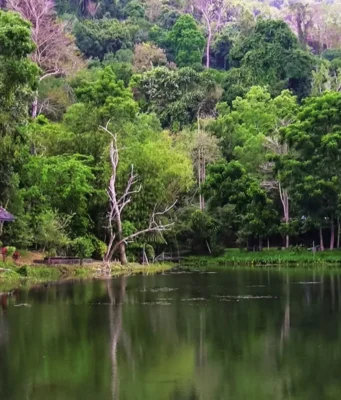 Khao Phra Thaeo Wildlife Sanctuary, Phuket Khao Phra Thaeo National Park