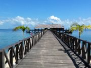 Güney Asya’da 303 Gün