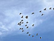 Neden Seyahat Etmeliyiz Sihanoukville