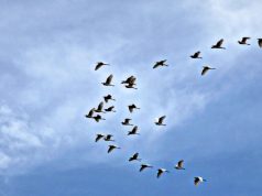 Neden Seyahat Etmeliyiz   Sihanoukville