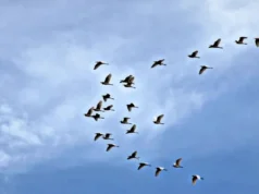 Neden Seyahat Etmeliyiz Sihanoukville