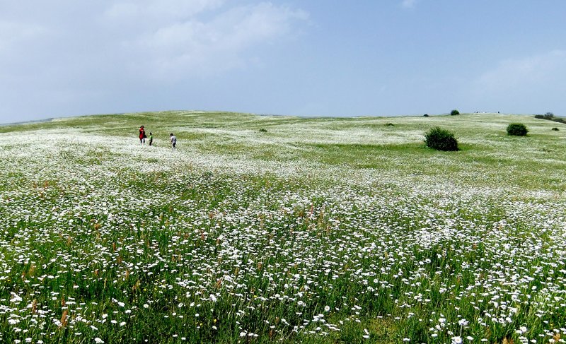 Choobar-iran