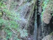 Düzce’nin Yok Olan Saklı Cennetleri Duzce-Efteni-Selale