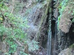 Düzce’nin Yok Olan Saklı Cennetleri Duzce-Efteni-Selale