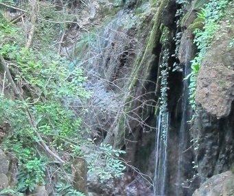 Düzce’nin Yok Olan Saklı Cennetleri Duzce-Efteni-Selale