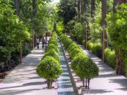 Bağ-ı İrem: İrem Bağları, Şiraz, İran irem-baglari