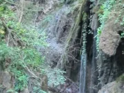 Düzce’nin Yok Olan Saklı Cennetleri Duzce-Efteni-Selale