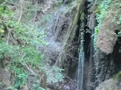 Düzce’nin Yok Olan Saklı Cennetleri Duzce-Efteni-Selale