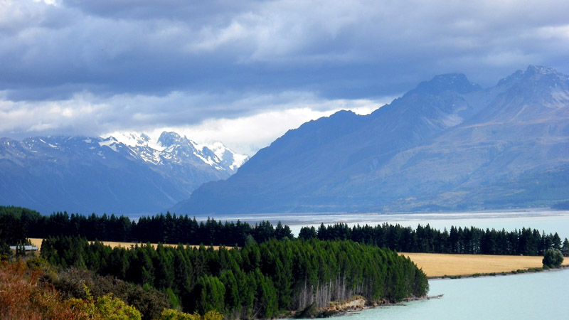 Lake-Tekapo-Cook