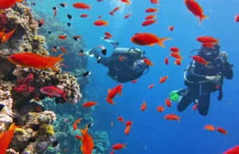 Sharm El Sheikh Dalış Turu