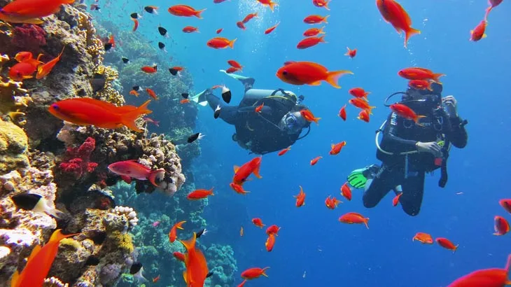 Sharm El Sheikh Dalış Turu