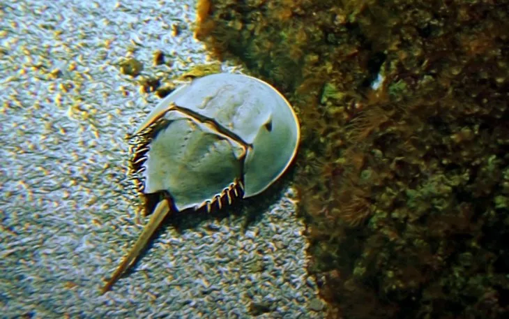 istanbul akvaryum nerede