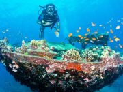 Kızıldeniz Dalış Turu, Hurghada Kızıldenizde-Dalis