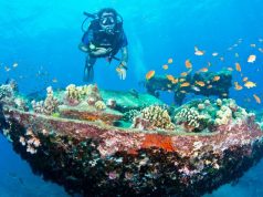 Kızıldeniz Dalış Turu, Hurghada Kızıldenizde-Dalis