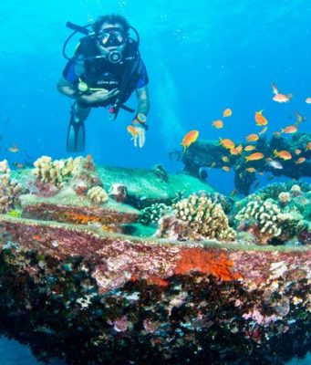 Kızıldeniz Dalış Turu, Hurghada Kızıldenizde-Dalis