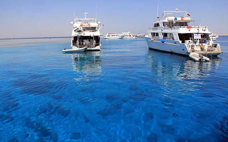 Şarm El Şeyh Dalış Turu