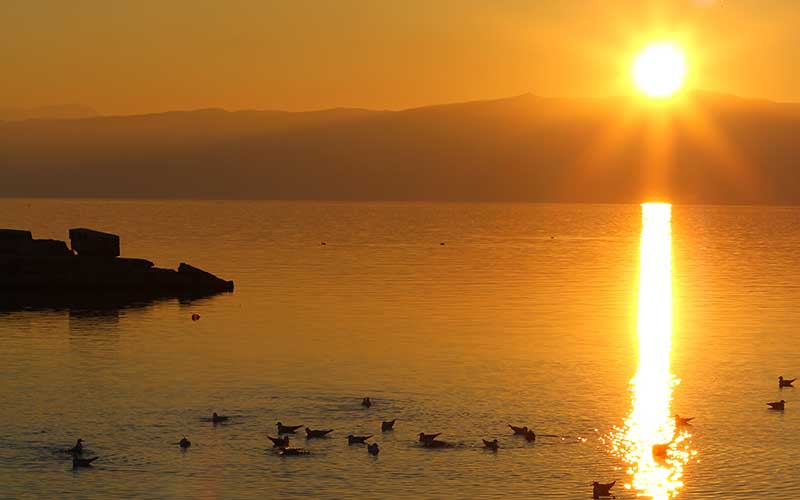 Ohrid Sunset