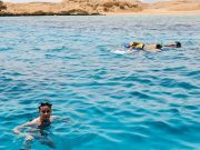 Kızıldeniz Tekne Turu, Şarm El Şeyh Sharm Snorkeling
