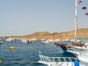 Boat Tour Sharm
