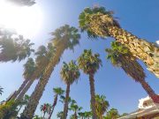 Mersin Otelleri: Sultaşa Otel