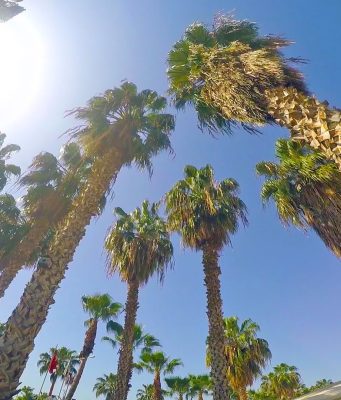 Mersin Otelleri: Sultaşa Otel