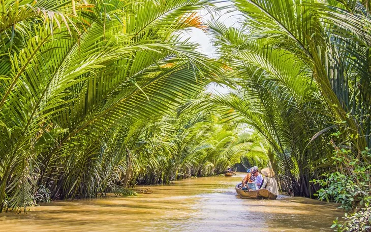 Mekong Deltası, Vietnam