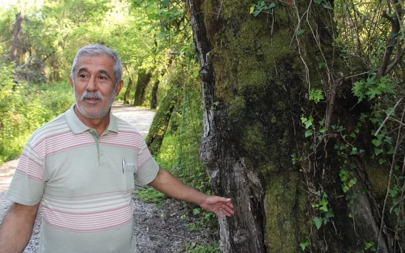 Şaban Abi, Yonca Lodge