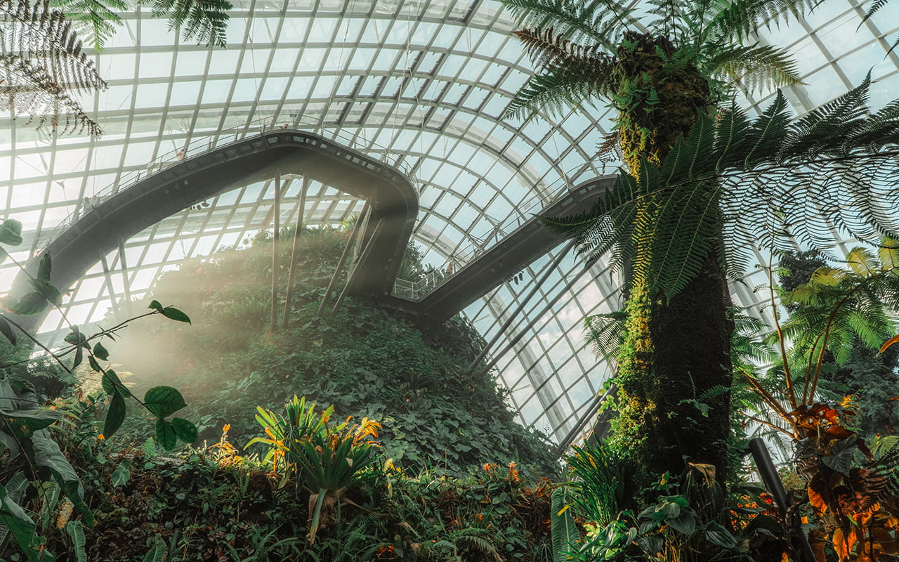 Cloud Forest, Singapur