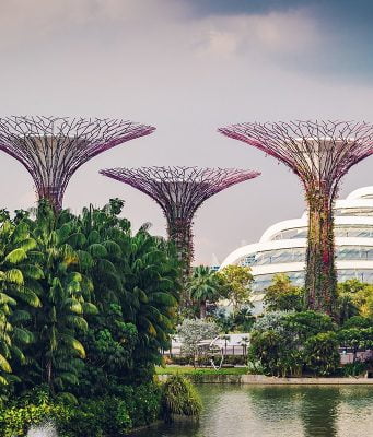 Alice Harikalar Dünyası: Gardens By The Bay, Singapur Gardens by the Bay, Singapore