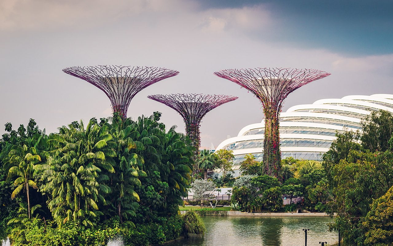 Gardens by the Bay, Singapore