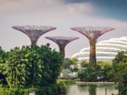 Alice Harikalar Dünyası: Gardens By The Bay, Singapur Gardens by the Bay, Singapore