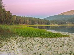 Huzur Veren Bir Coğrafya: Abant Abant Milli Parkı