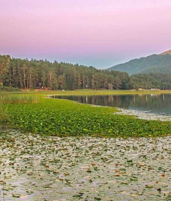 Huzur Veren Bir Coğrafya: Abant Abant Milli Parkı