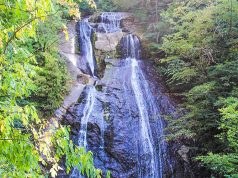 Güzeldere Şelalesi, Düzce Güzeldere Şelalesi, Düzce