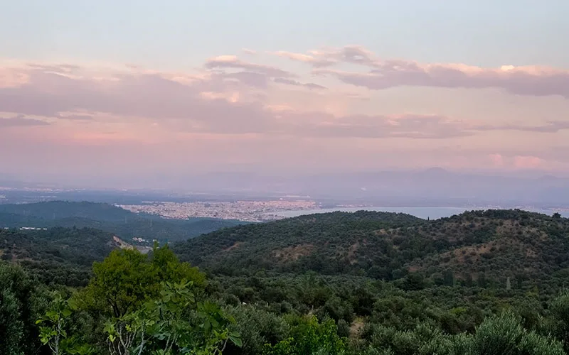 Albatross Dağ Evleri