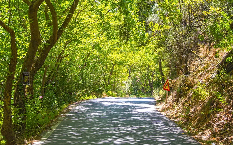 Arac Kiralama nasıl yapılır