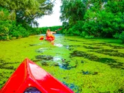 Kherson’da Gezilecek Yerler, Ukrayna Dinyeper-Nehri-Tur