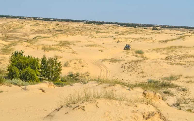 Oleshkovsky-Colu-Herson