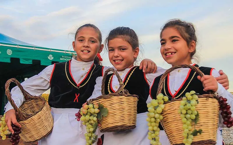 Itria Vadisi Bağbozumu