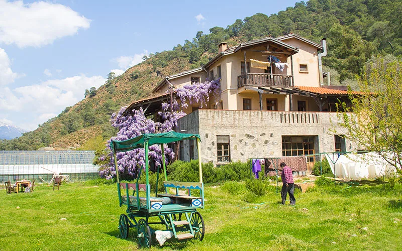 Pastoral-Vadi-Yaniklar-Koyu